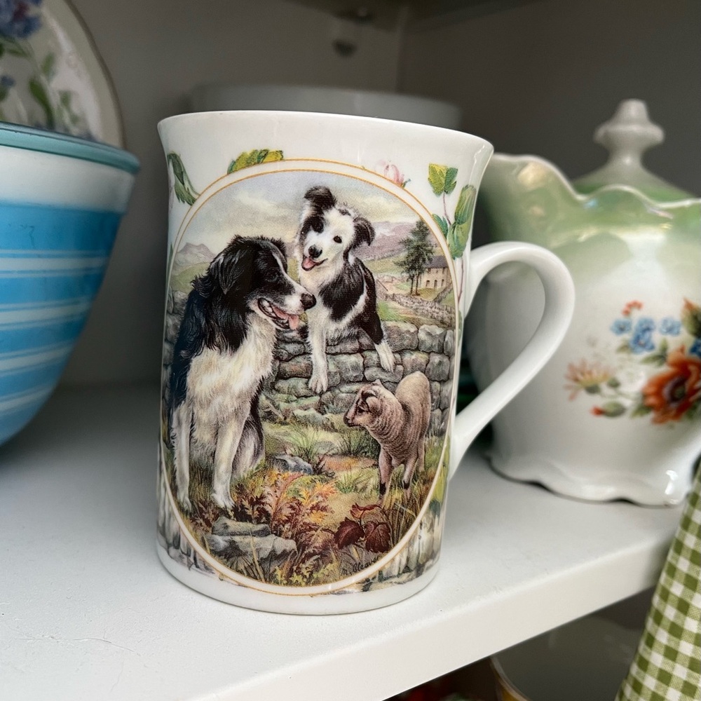Border collies dogs Scotland mug